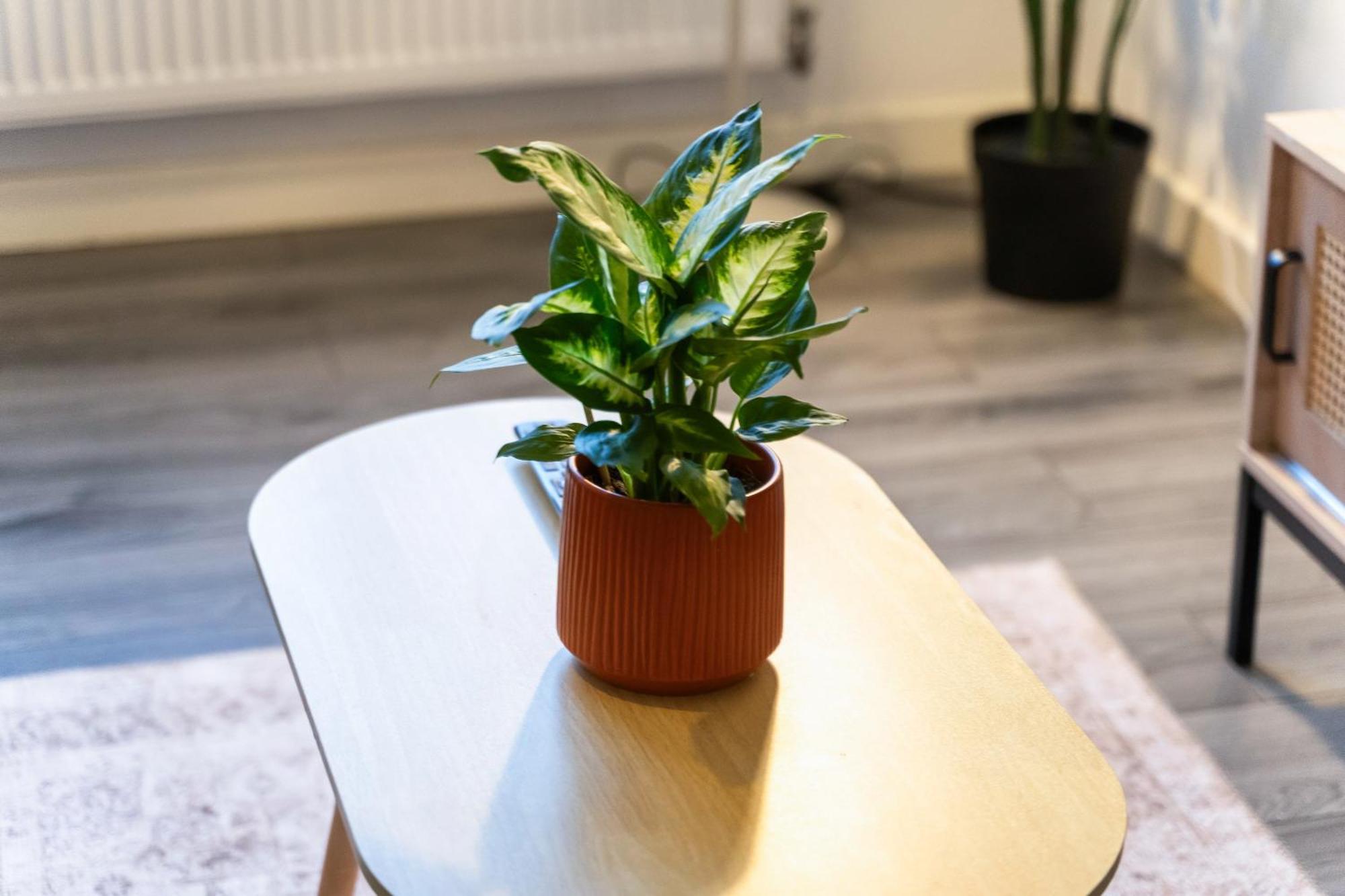 Stylish New Apartment - Free Wifi & Netflix - Top Rated - 3Mh Cradley Heath Zewnętrze zdjęcie